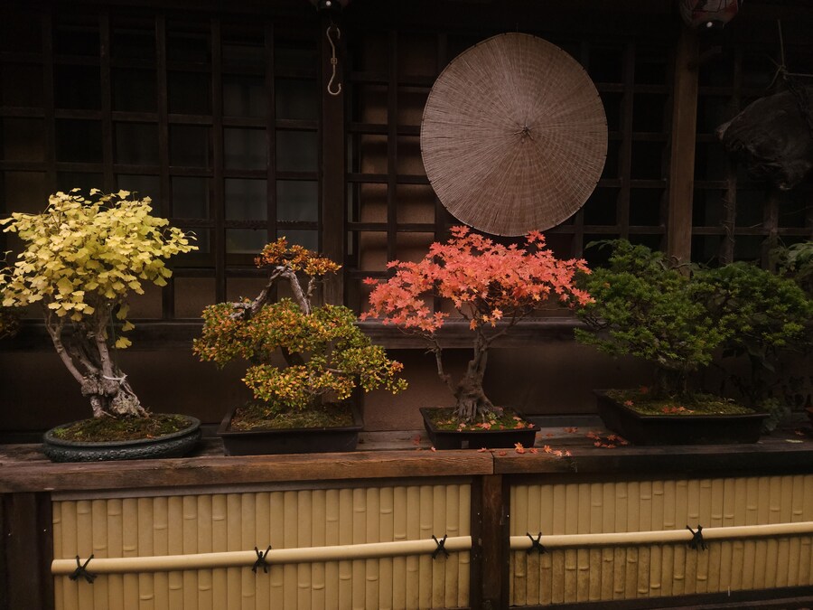 단풍과 이끼. 니가타 9박10 여행 - 2_51.jpg