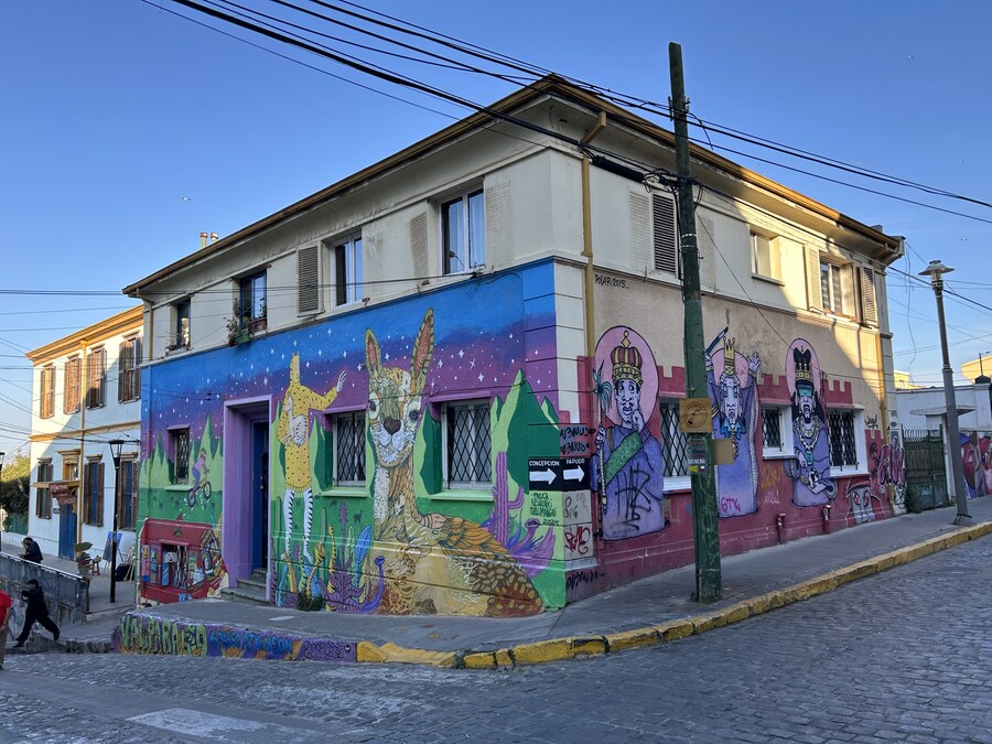 칠레 처갓집 방문기 (2) 4-6일차 : 발파라이소 / 비냐 델 말_65.jpg