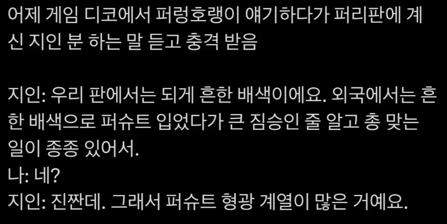 베스트 곰 코스프레 유저가 인생 끝장날 뻔 했던 이유_3.png