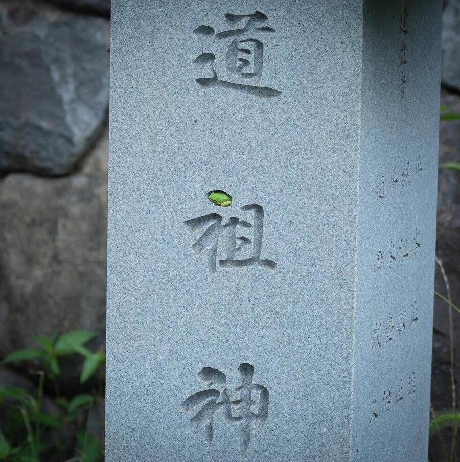 이건 내 구멍이에요 내가 들어갈 구멍이에요_2.jpg