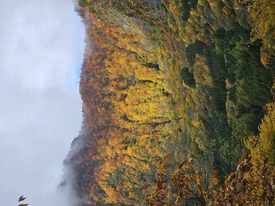 단풍과 이끼. 니가타 9박10 여행 - 3_6.jpg