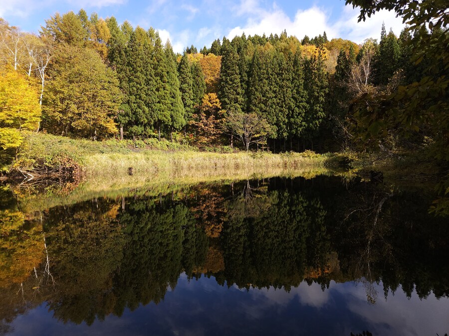 단풍과 이끼. 니가타 9박10 여행 - 3_9.jpg