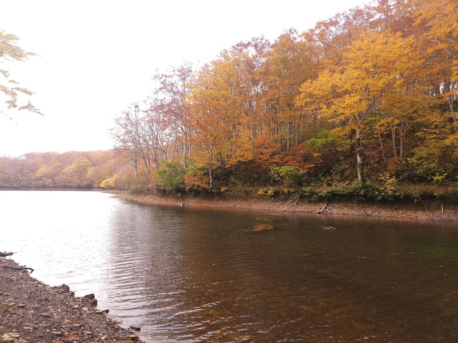 단풍과 이끼. 니가타 9박10 여행 - 3_17.jpg