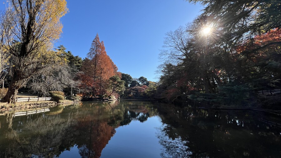 어머니와 단둘이 일본 여행. (※초스압 & 데이터)_128.jpg