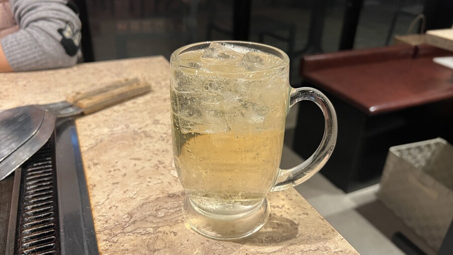 어머니와 단둘이 일본 여행. (※초스압 & 데이터)_222.jpg