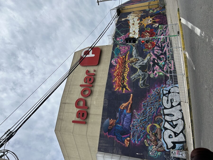 칠레 처갓집 방문기 (2) 4-6일차 : 발파라이소 / 비냐 델 말_85.jpg