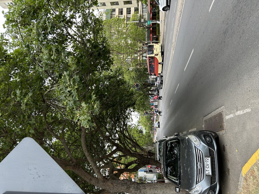 칠레 처갓집 방문기 (2) 4-6일차 : 발파라이소 / 비냐 델 말_97.jpg