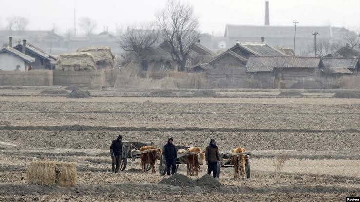 북한의 선택받은 상류층들이 산다는 평양 아파트촌_8.jpg