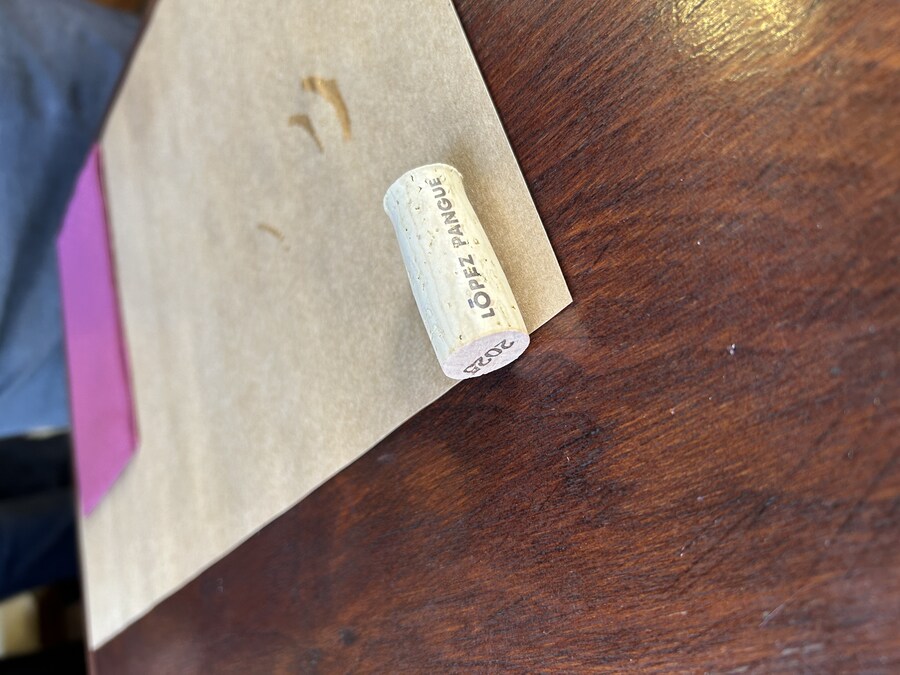 칠레 처갓집 방문기 (3) 7-9일차 : 발파라이소_53.jpg