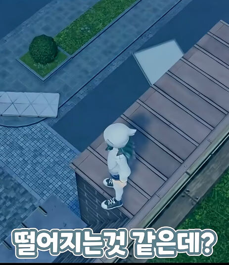 버미육)포켓몬 ZA 디테일_5.jpg