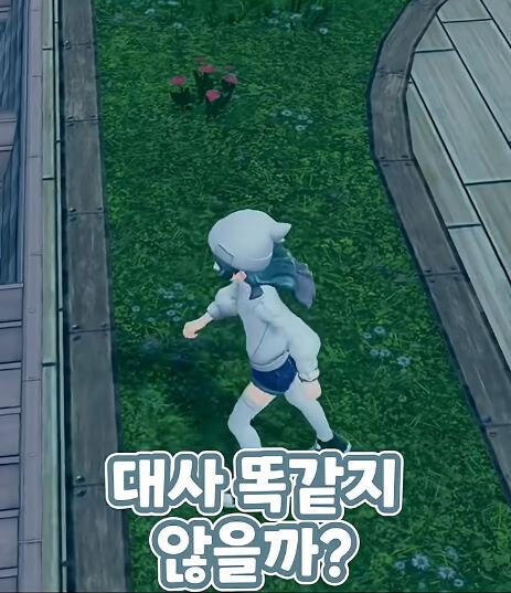 버미육)포켓몬 ZA 디테일_22.jpg