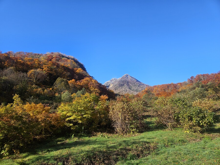 단풍과 이끼. 니가타 9박10 여행 - 3_29.jpg
