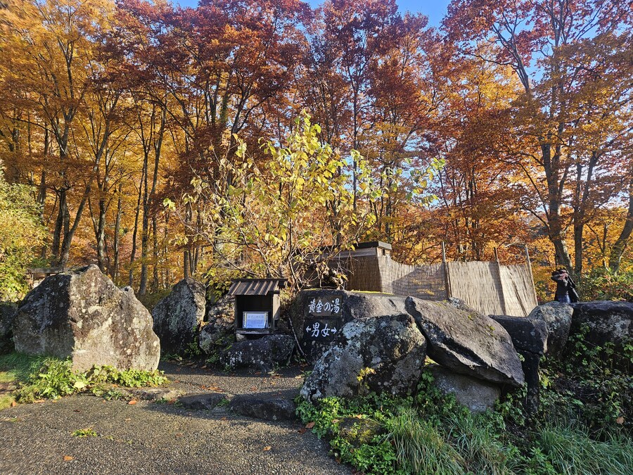 단풍과 이끼. 니가타 9박10 여행 - 3_30.jpg