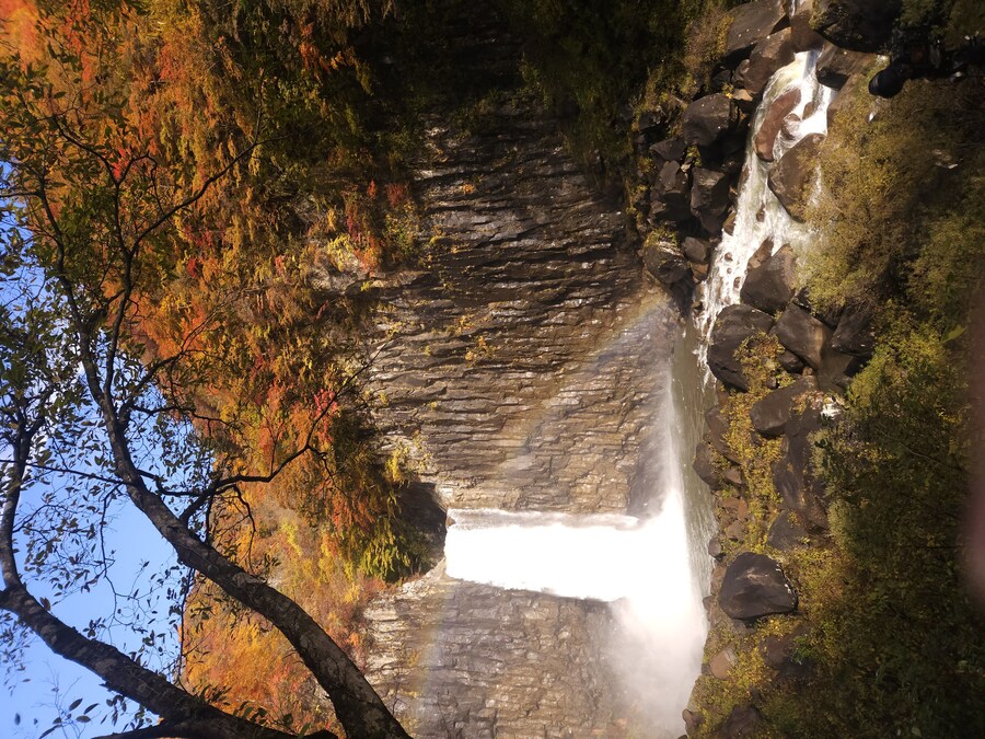 단풍과 이끼. 니가타 9박10 여행 - 3_33.jpg