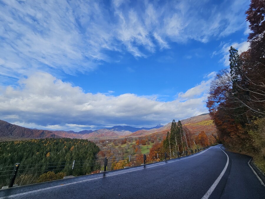 단풍과 이끼. 니가타 9박10 여행 - 3_37.jpg