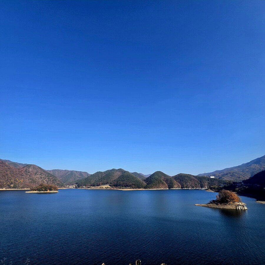 게으른 악어_4.jpg