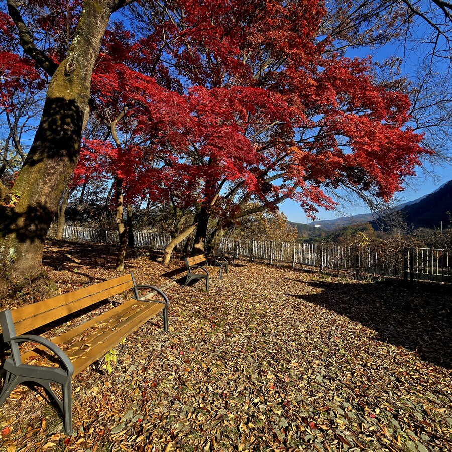 게으른 악어_5.jpg