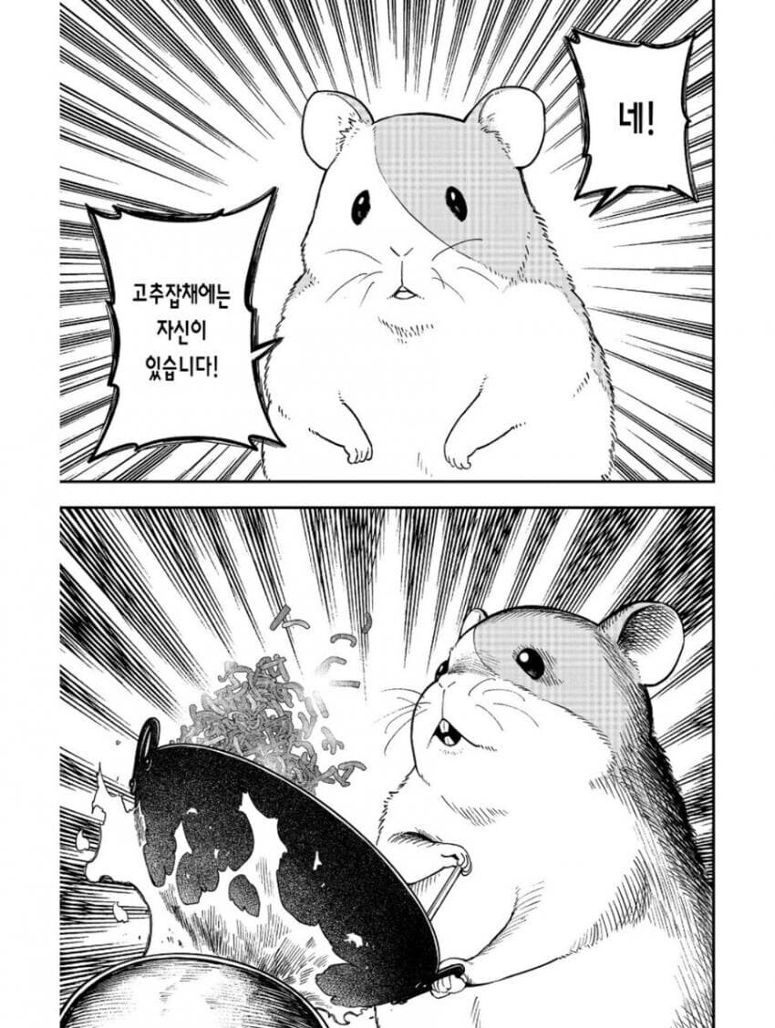 고추잡채 만드는 햄스터.jpg_2.jpg