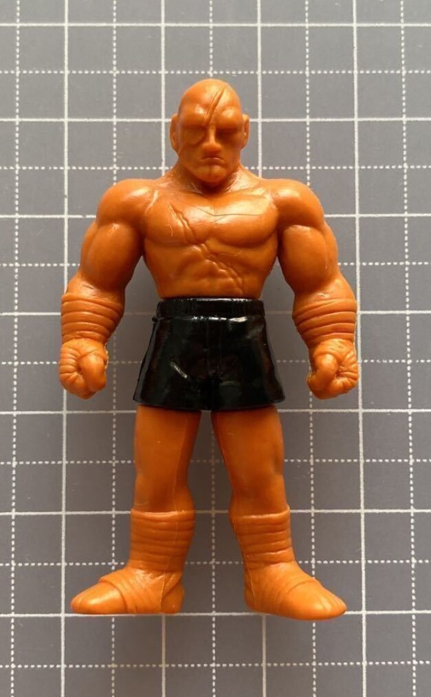 92년 올드토이 스트리트파이터2 갸샤폰 12종 수집완료._15.png