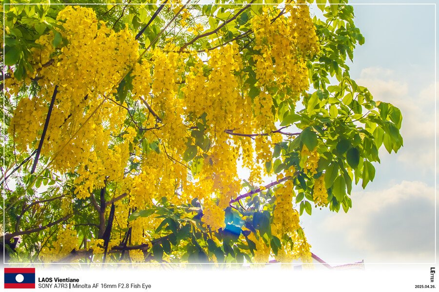 [LAOS] 4월의 라오스 비엔티안 Part I_6.jpg