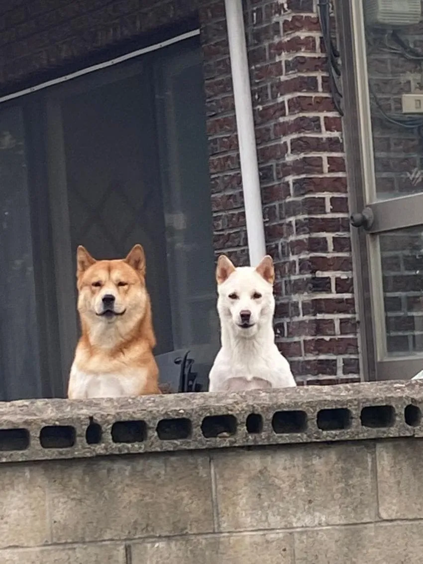 주식) 폭락이라고 줍기에도 좀 애매함_1.webp