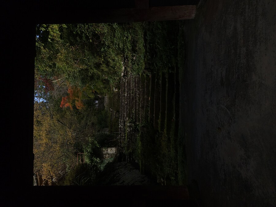 단풍과 이끼. 니가타 9박10 여행 - 4_46.jpg