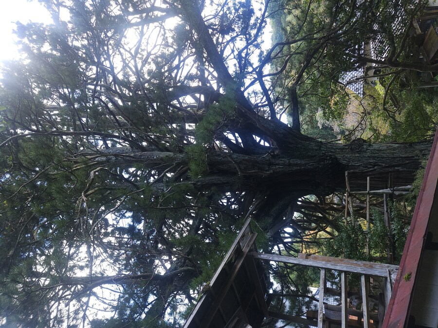 단풍과 이끼. 니가타 9박10 여행 - 4_47.jpg