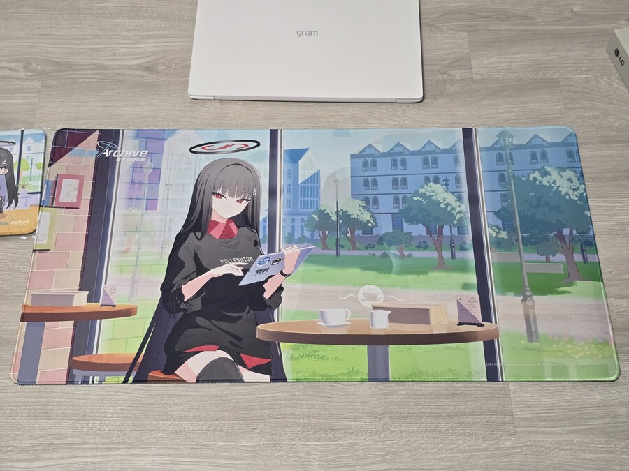 [블루아카] 그램 리오 에디션과 구성품 리뷰_16.jpg