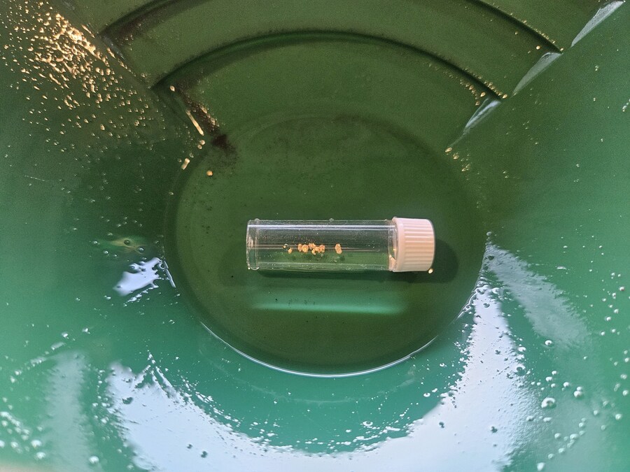 단풍과 이끼. 니가타 9박10 여행 - 4_54.jpg