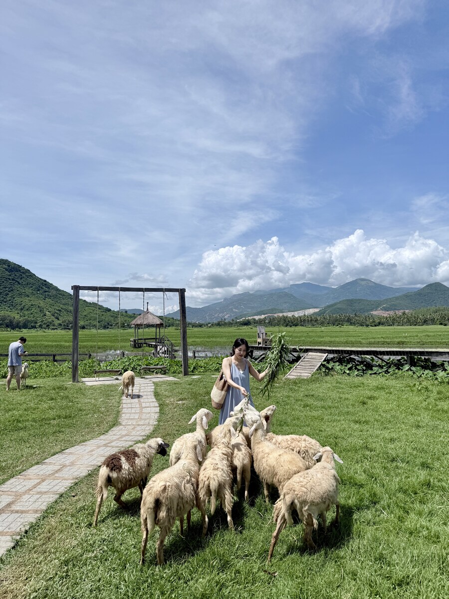 7박8일 베트남 나짱 먹부림_1_14.jpg