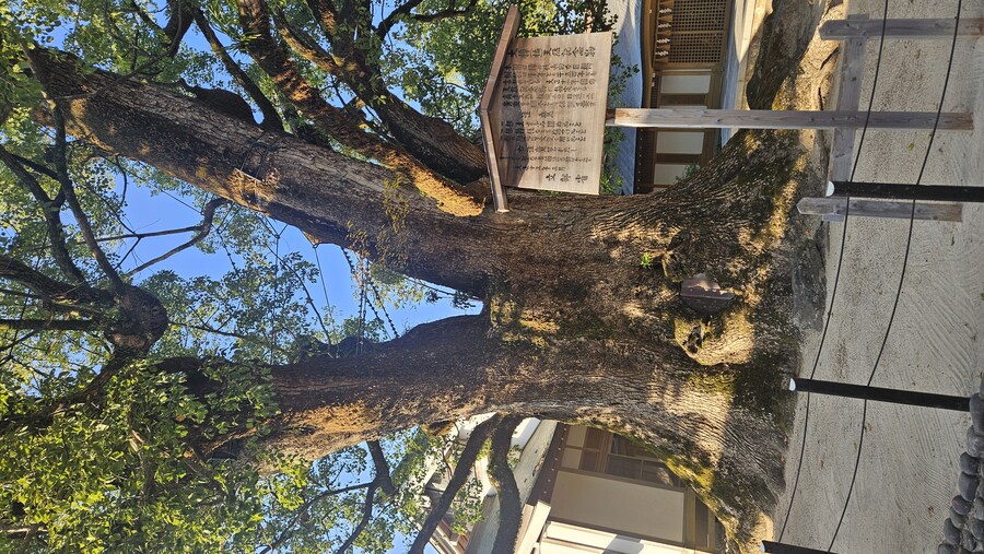 후쿠오카에 왔습니다 이틀차_17.jpg