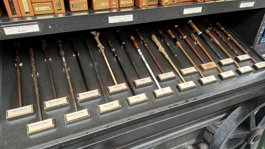 내마음대로 3박4일 교토 체류기 2일차 1부 (2024.06.21.)_32.jpg