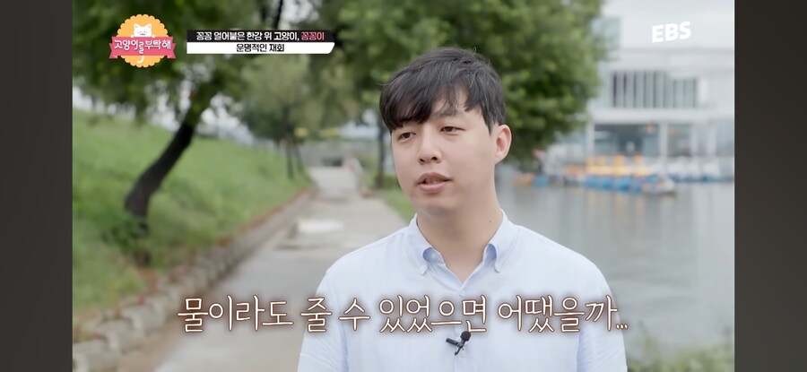 꽁꽁 얼어붙은 한강 걷던 고양이 근황_3.jpg