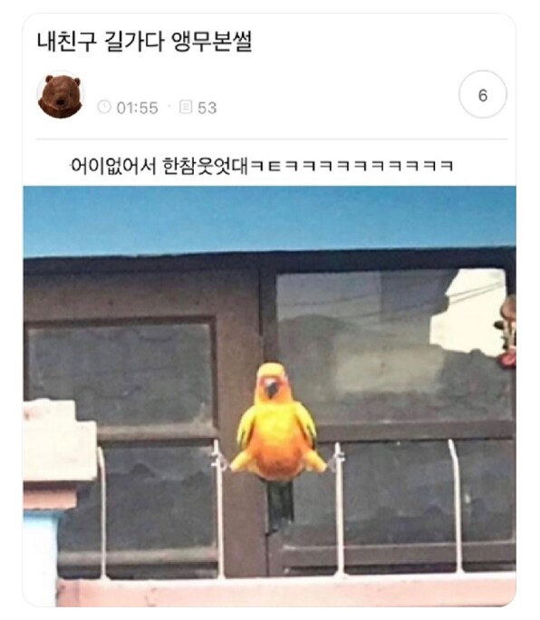내 친구 길 가다 앵무새 본 썰.jpg_1.png