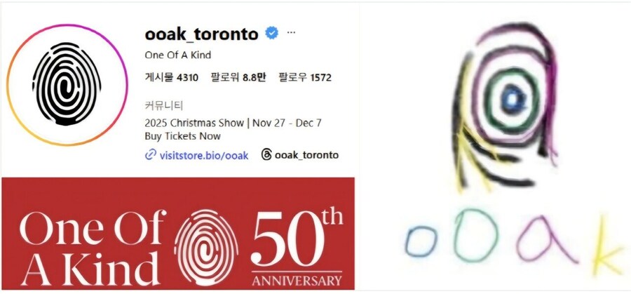 법정에서 표절로 역공 당한 아줌마_2.jpg