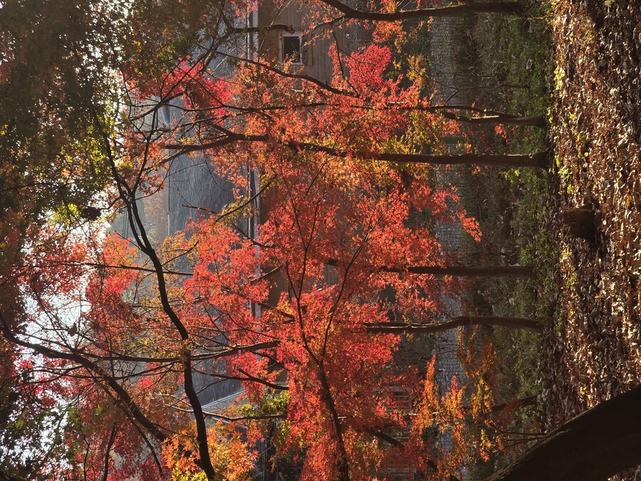 오늘 주말이라고 좀 돌아다님_3.jpg