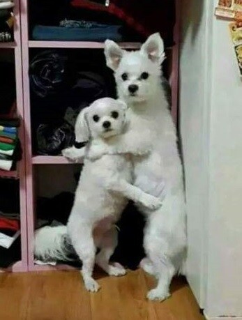 트럼프엡스타인파일) 당대 현실을 상상따위가 뛰어넘을수없다._1.jpg