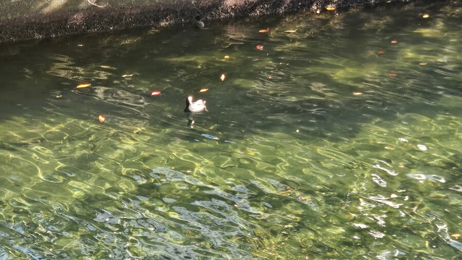 후쿠오카에 왔습니다 삼틀차_5.jpg