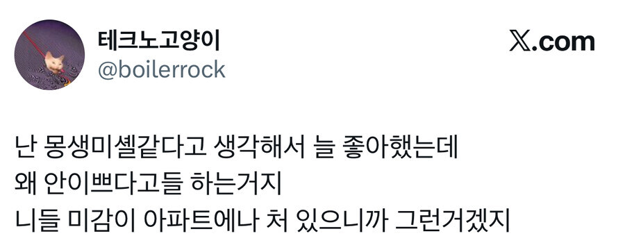 "한남동이 몽생미셸이라고? 그 걸뱅이들 누더기집이? ㅋㅋㅋ".jpg_1.jpg