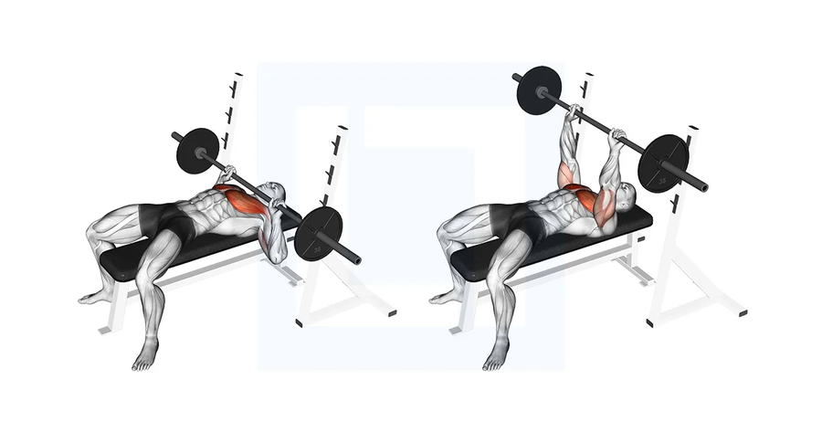 정말 효과 좋은 운동인데 아무도 안 하는 운동_1.webp