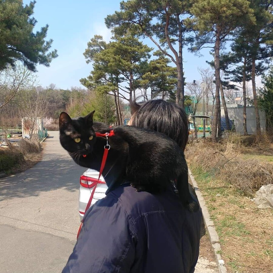 이시간에는 이런거 올리는게 맞겠지?_2.jpg