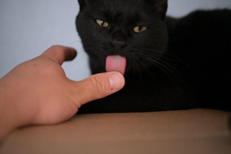 이시간에는 이런거 올리는게 맞겠지?_5.jpg