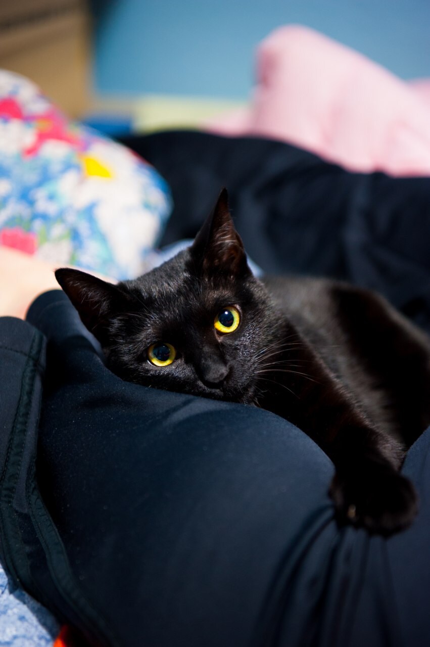 이시간에는 이런거 올리는게 맞겠지?_7.jpg