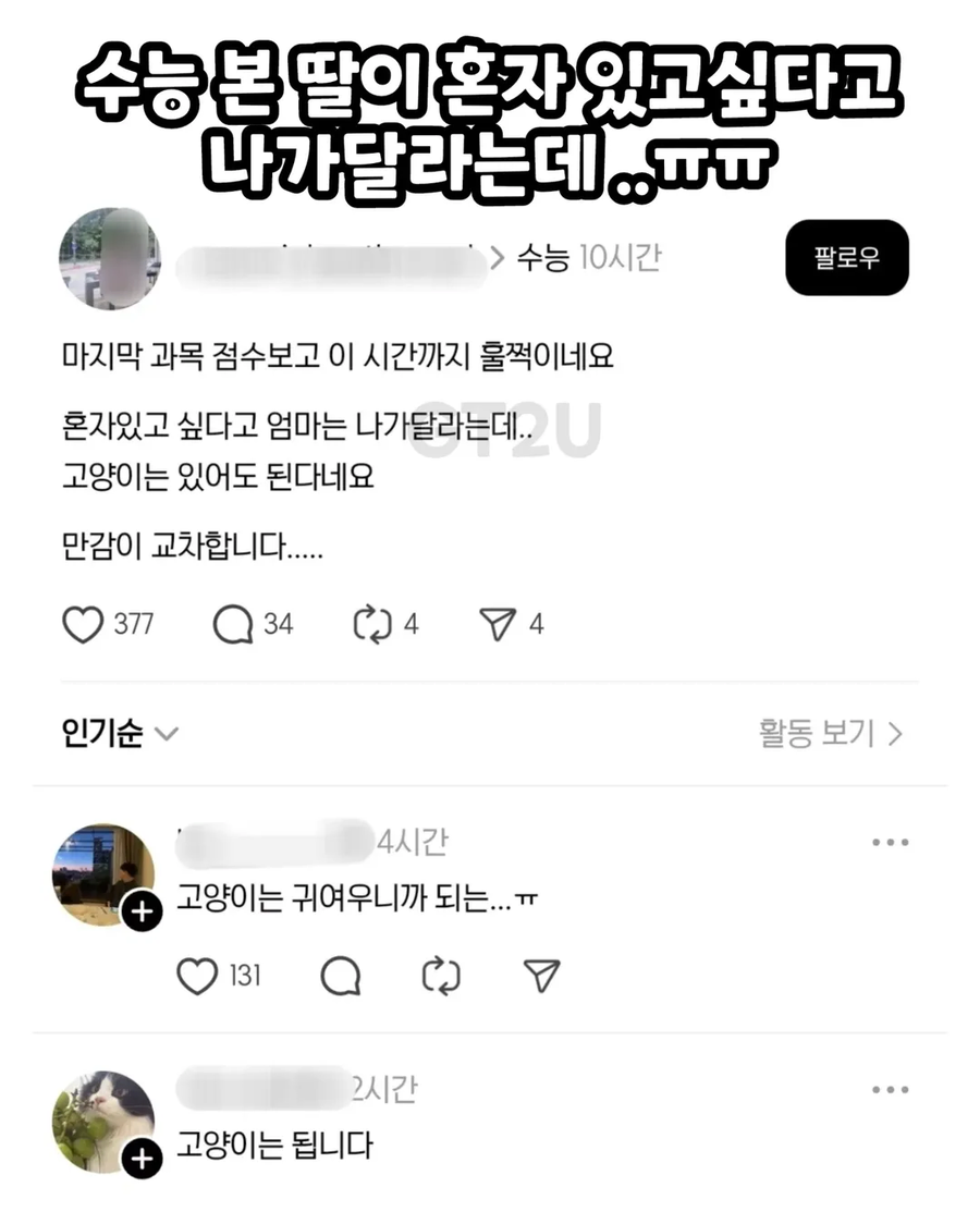 수능 본 딸이 혼자 있고 싶다고..._1.webp