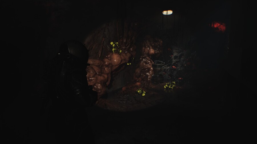 Cronos_ The New Dawn_28.jpg