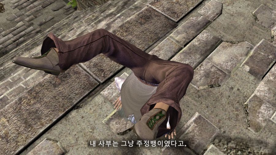 DEAD OR ALIVE 4_7.jpg