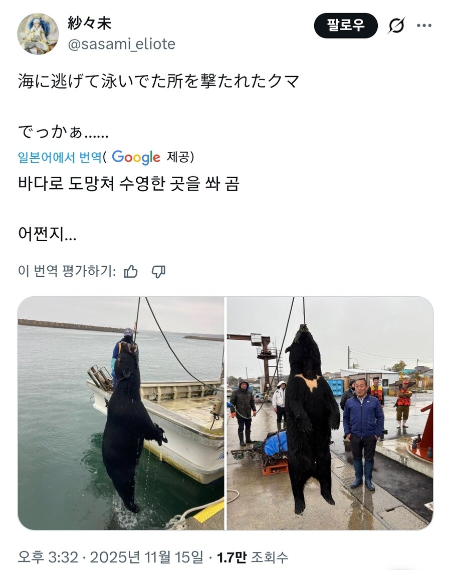 요즘 부쩍 늘어나고 있다는 일본의 곰_1.jpg