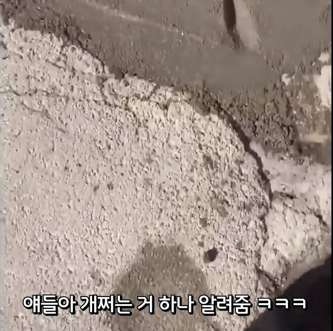 콘크리트에 얼굴 꼬라박은 사람_1.jpg