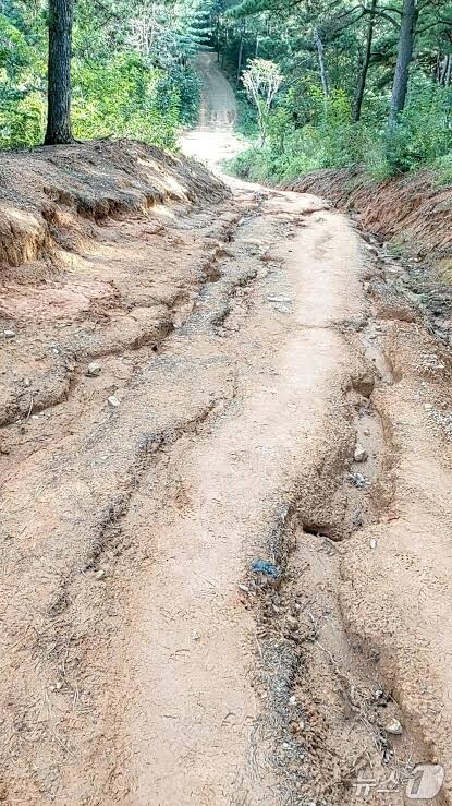 시골 비포장 도로는 아름다움이 아니라 족쇄다_4.jpg