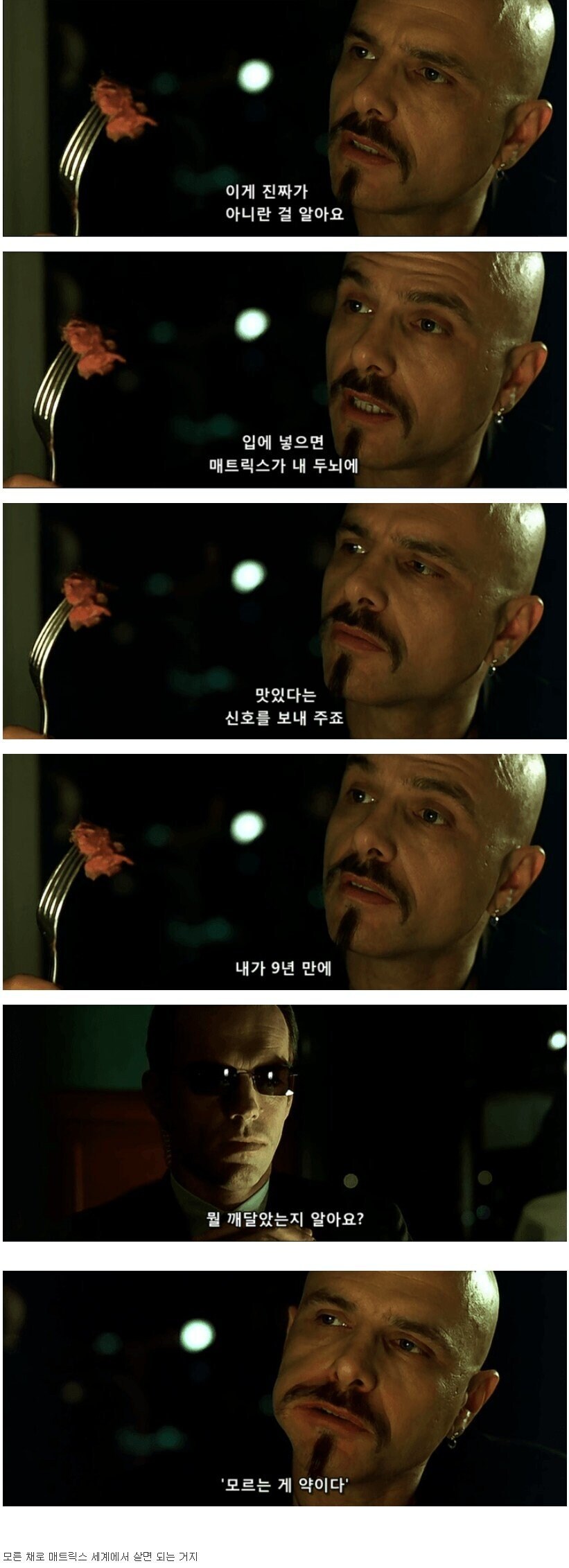 매트릭스의 주제를 관통하는 장면_1.jpg